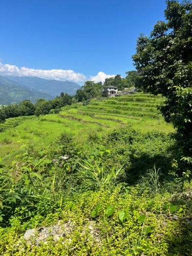 The North Face Inn's Homestay