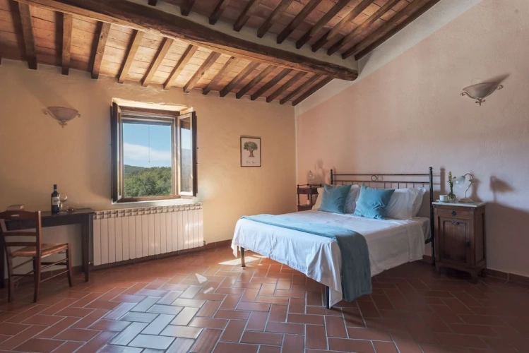Classic Double room with land view