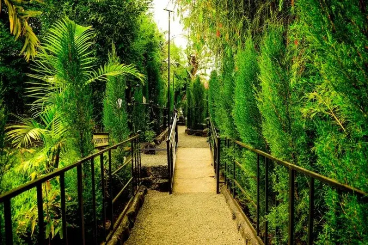 Lesiolo Hills Hotel