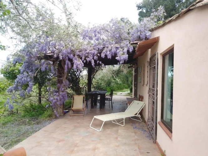 Cottage