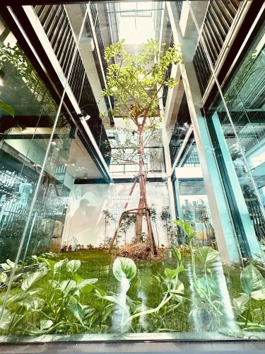 V1 Boutique Hotel