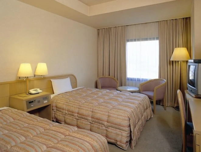 Standard Twin room with river view