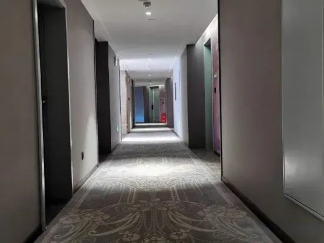 Mercure Hotel (Wuhan Yangluo Development Zone)