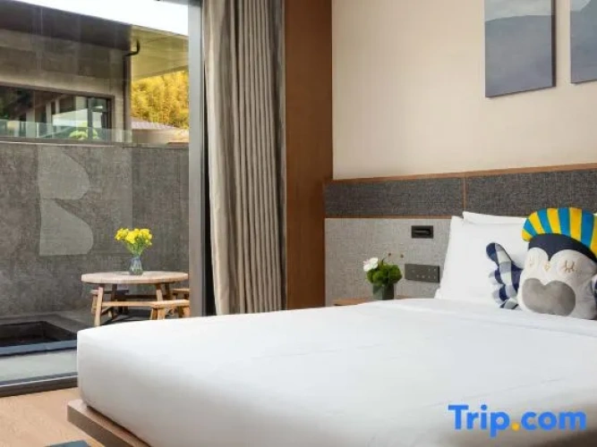 Premium Double room with courtyard view