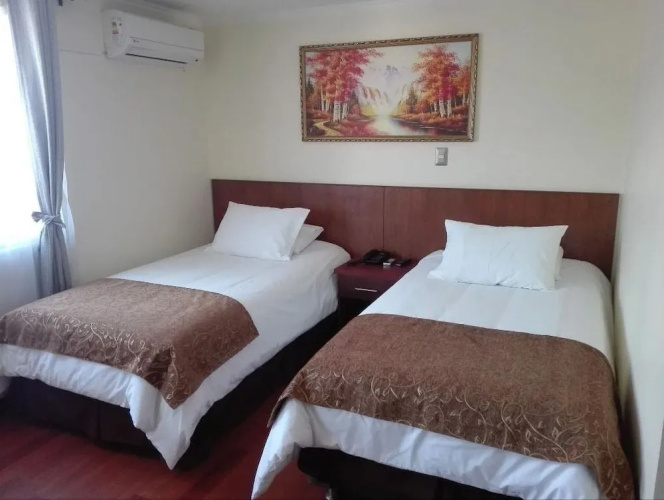 Hotel Newen