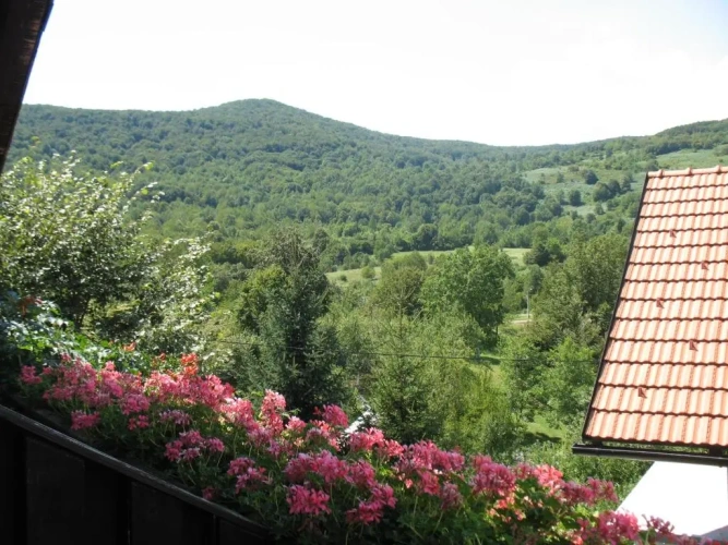 Standard Double room with balcony