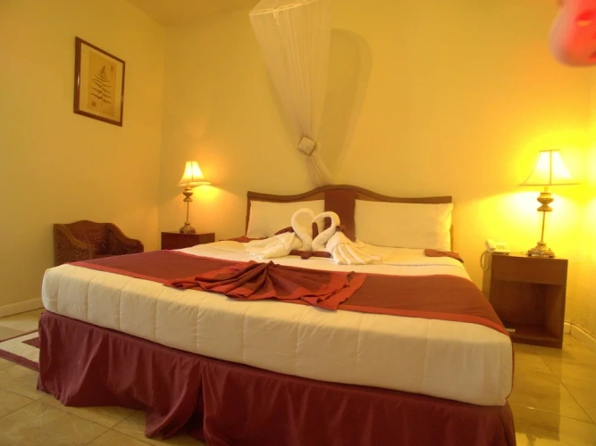 Deluxe Double room with garden view