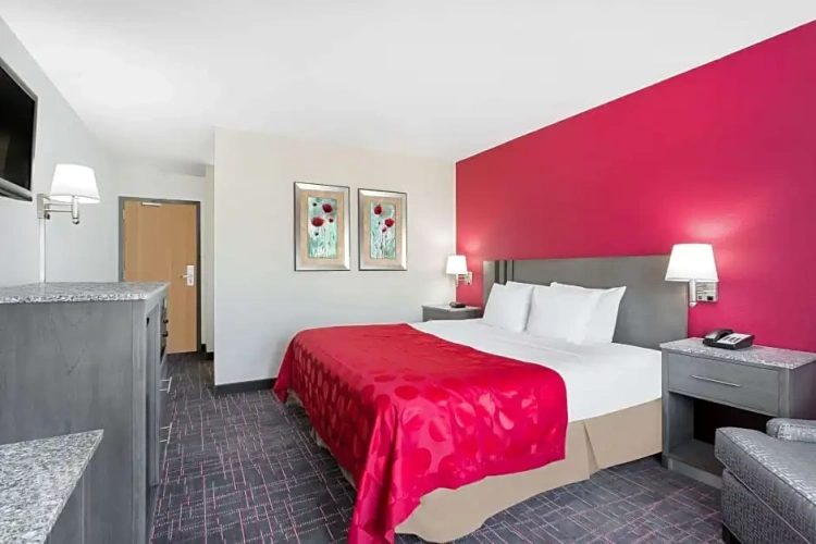 Quadruple Suite