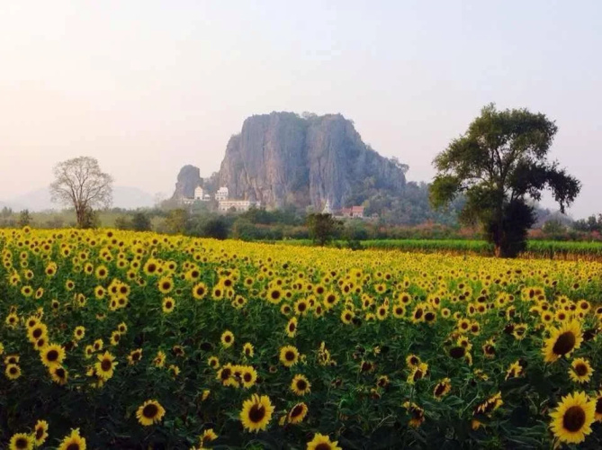 Pang Narai Resort