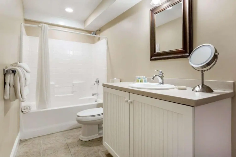 1 Bedroom Suite