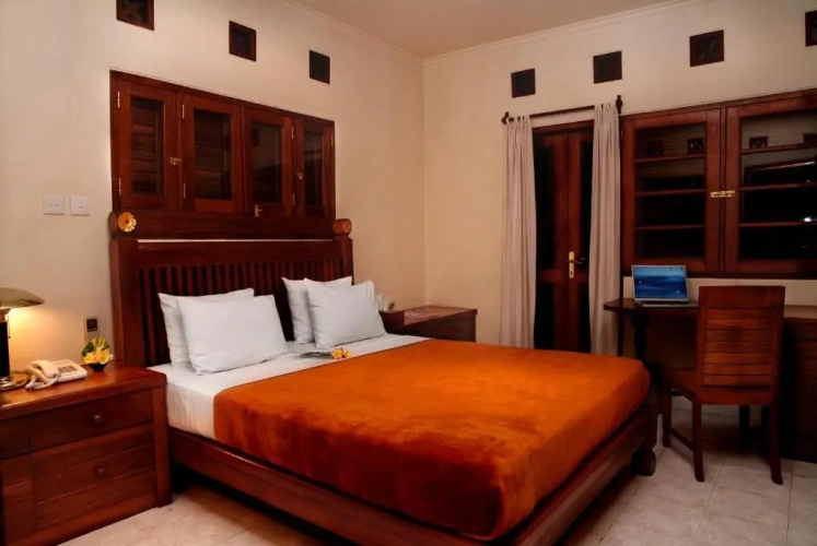 1 Bedroom Suite with view