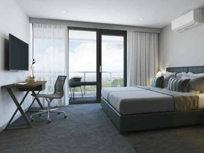 1 Bedroom Suite
