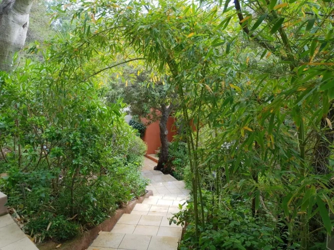 Superior Double room with garden view