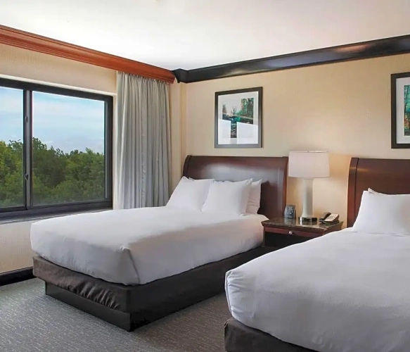 1 Bedroom Double Suite