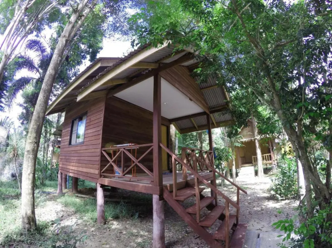 Morning Mist Resort