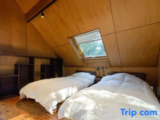 Standard Twin room with ocean view