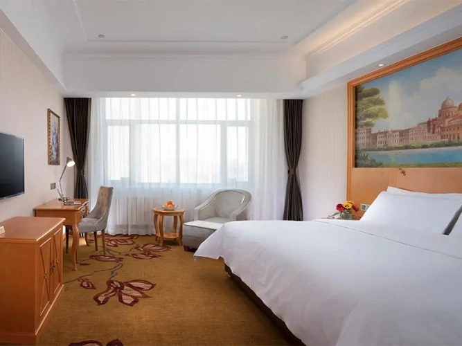 Deluxe Twin Family room