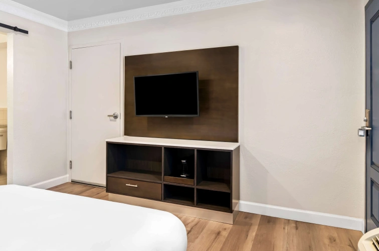 Accessible Double room