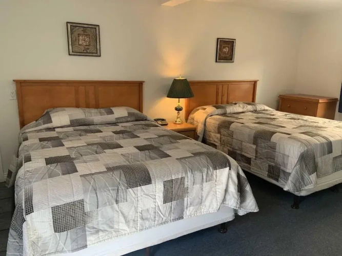 Standard Quadruple Suite