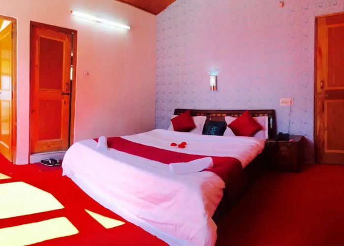 Hotel Alpine Manali