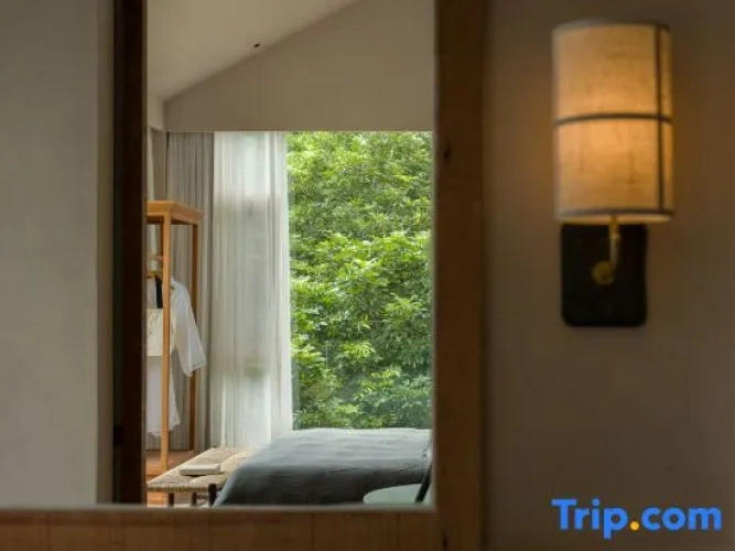 Duplex Suite