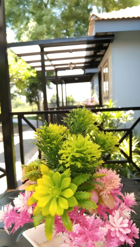 Raghunandan Resort