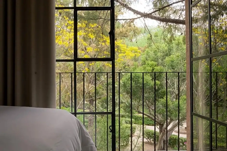 Suite with garden view