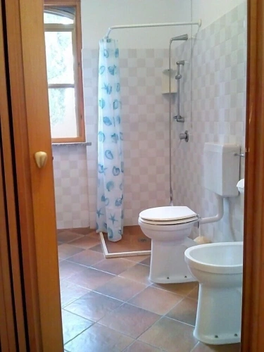 Standard Double room with garden view