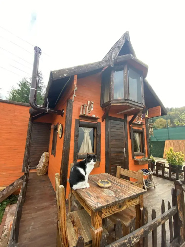 The Hobbit House
