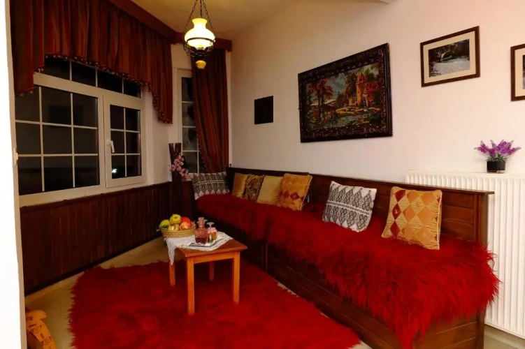Standard Double room with balcony and with mountain view
