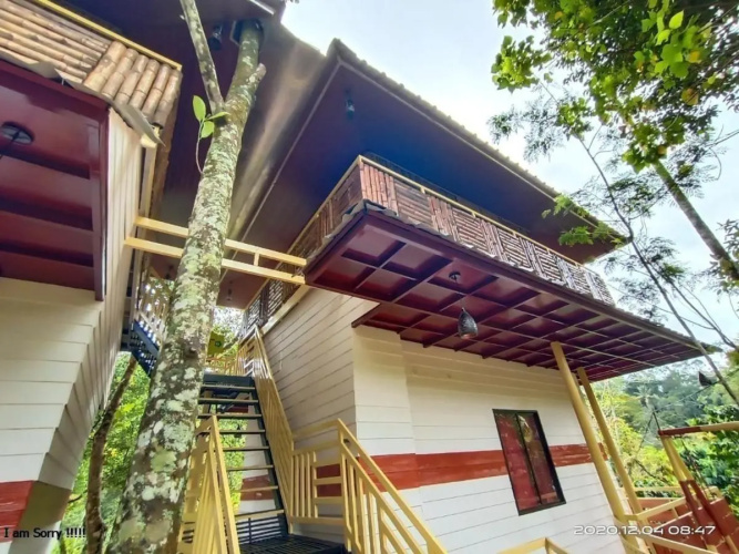 Chalona Jungle Eco Stay