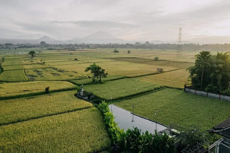 Maha Shanti Villa Ubud