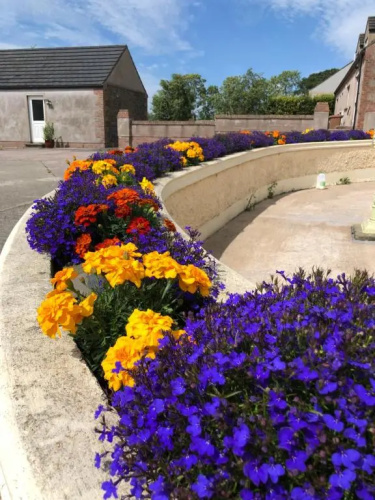 Oakfield B&B