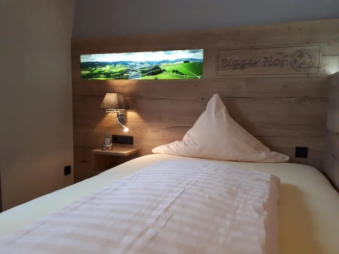Deluxe Double room with balcony and with view