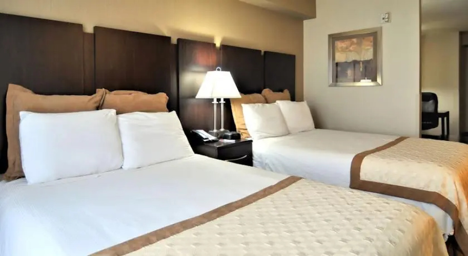 Comfort Suites University