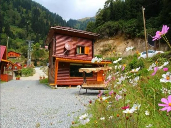 Deluxe Villa