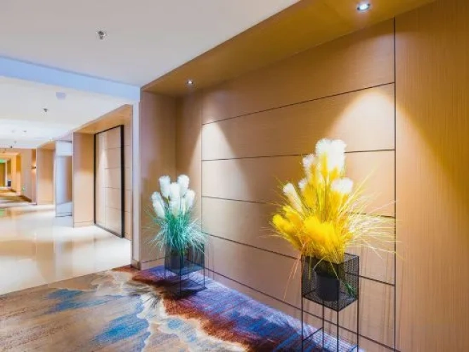 Hotel rooms