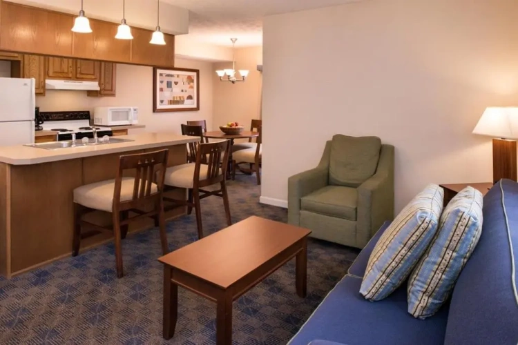 1 Bedroom Suite