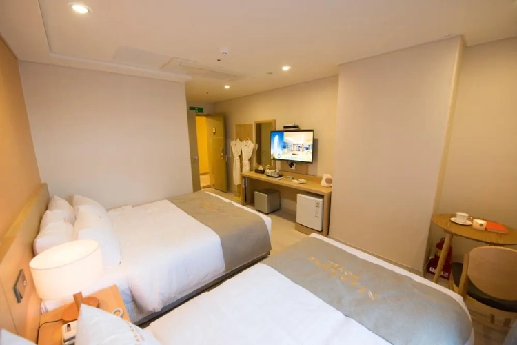 Standard Twin room with city view