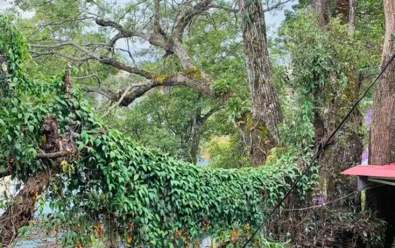Rang Dong Hotel Dalat