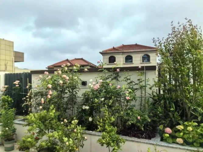 Outside