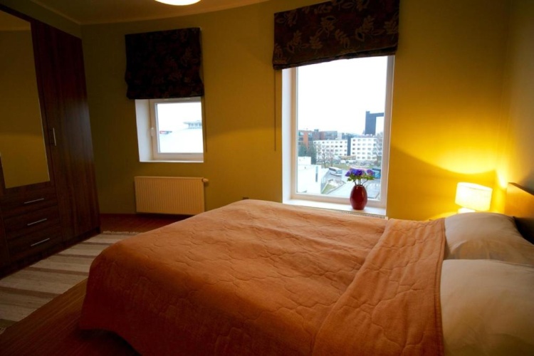 1 Bedroom Apartment with city view
