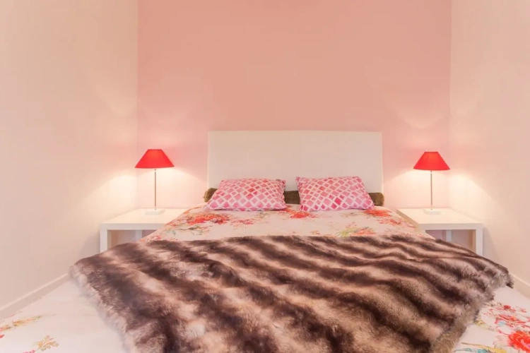 1 Bedroom Comfort Apartment