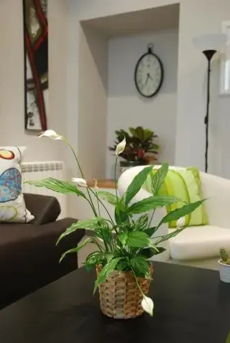Apartamento Judería