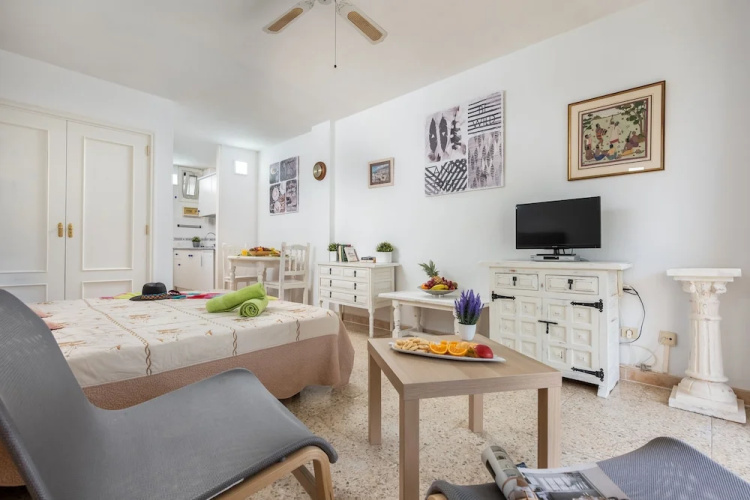 530 Big Studio with Terrace
