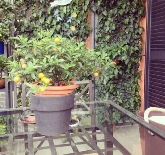 Apartment with balcony