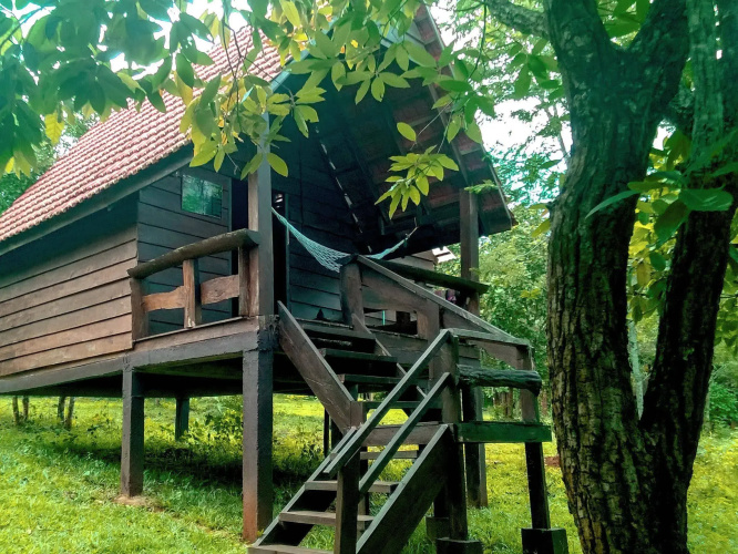 Nature Lodge