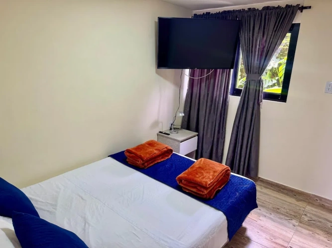 Comfort Apartment