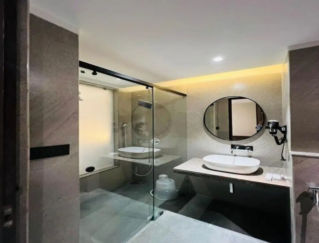 Deluxe Double room with balcony and with park view