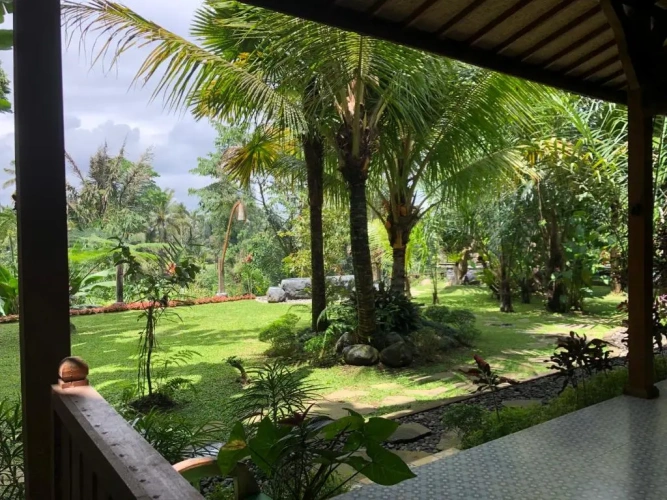 Superior Twin room with garden view